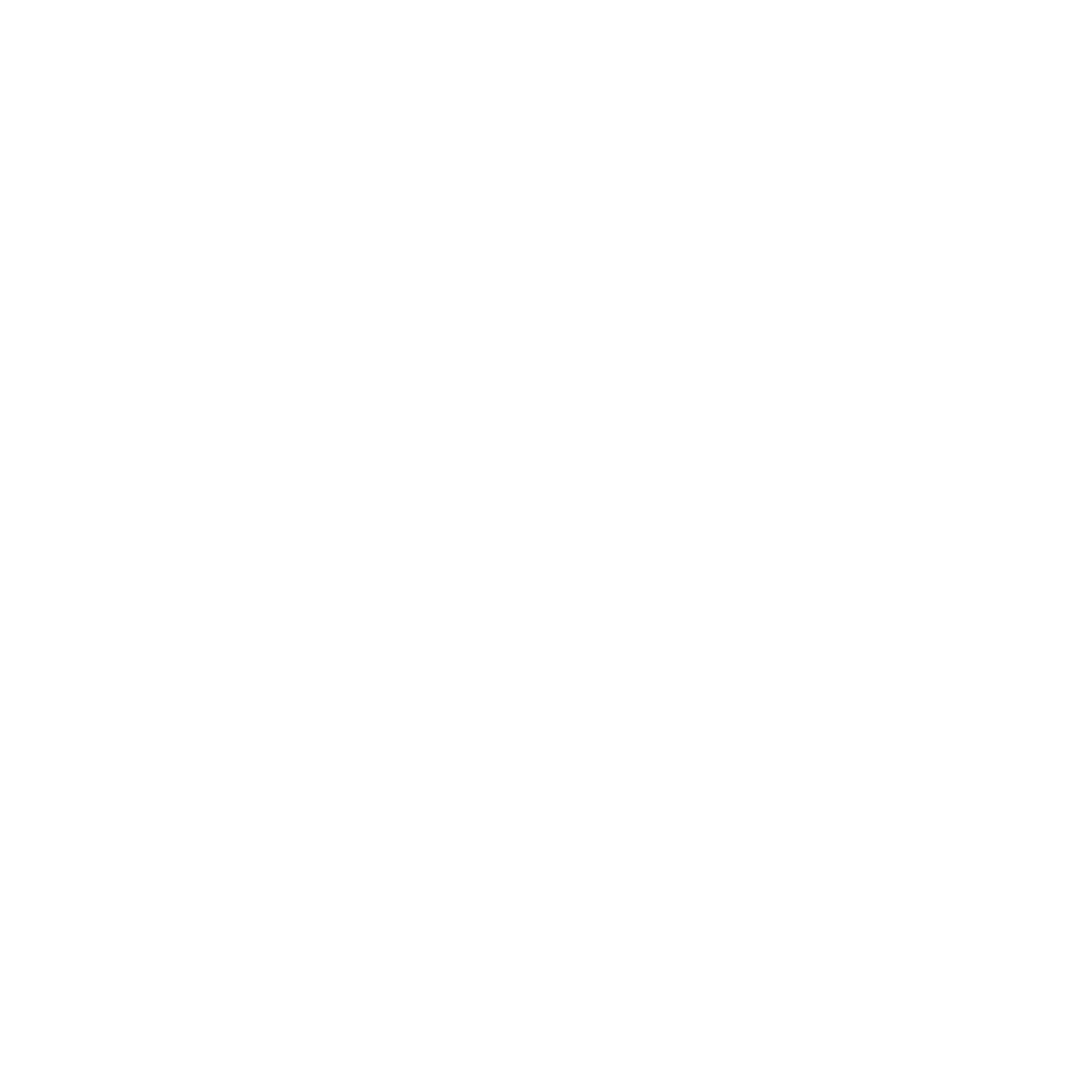 TSI Tecnoforza Seguridad Industrial